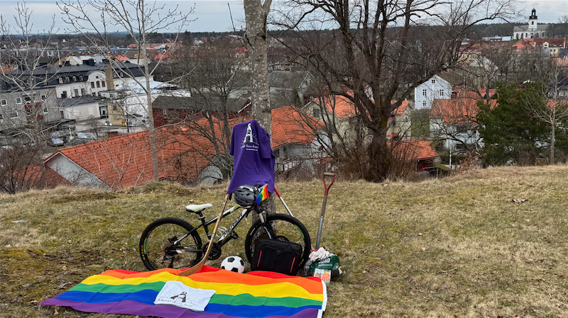 Parti programmet Liberal Vision Åmål